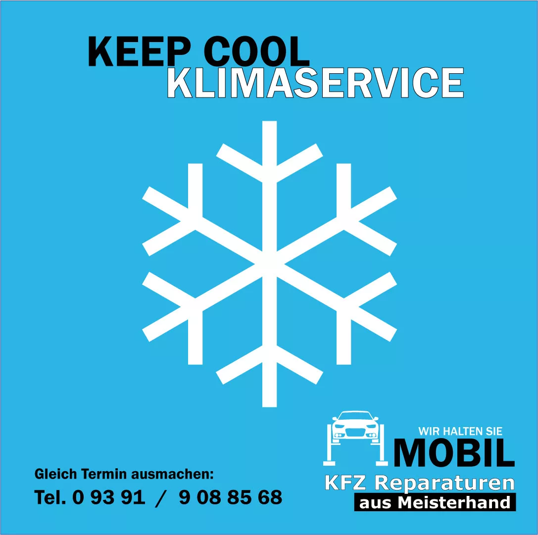 Read more about the article Frühlingsfrische für Ihr Auto: Klimaservice